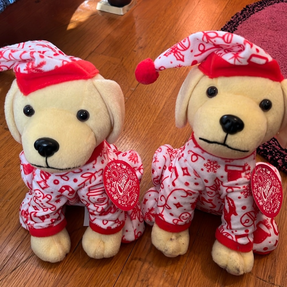 Cane’s Christmas puppies